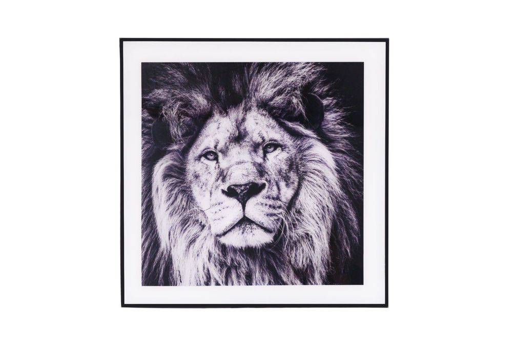 Glass Print Wall Art (Lion)